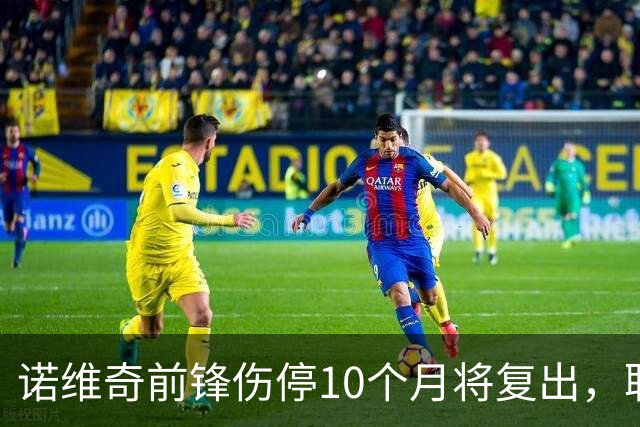 诺维奇前锋伤停10个月将复出，联赛杯客战卡迪夫或获出场时间